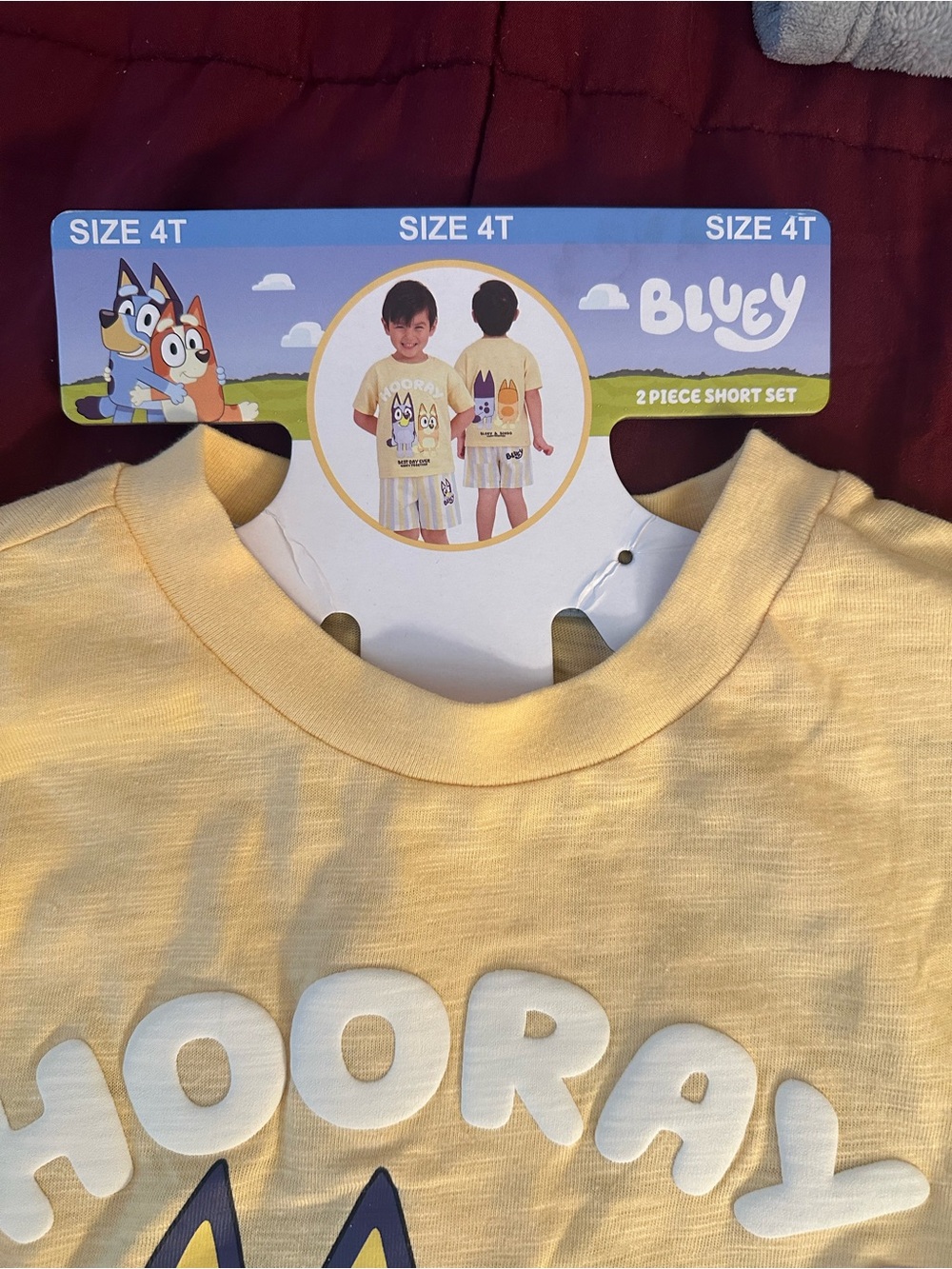 Bluey Kids' Yellow 'Hooray' Short Sleeve Tee - Size 4T
